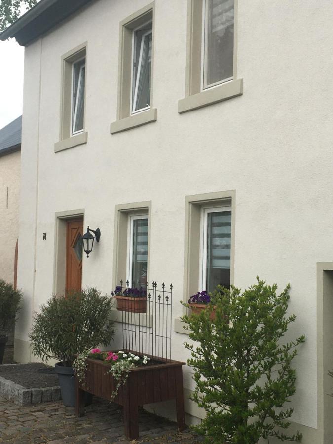 Eifel-moezelhuis Holiday home *