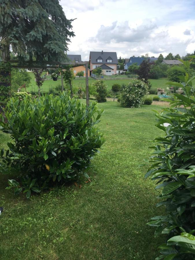 Eifel-moezelhuis Holiday home